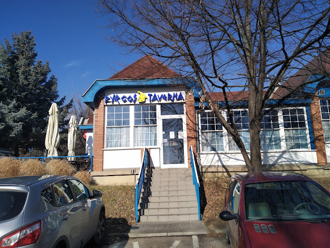 Comentarii opinii despre Pyrgos Taverna