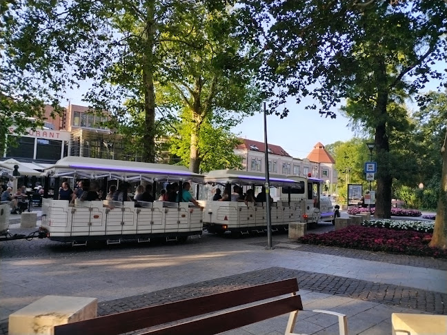 Rózsakert Étterem és Fagyizó - Vendéglátás