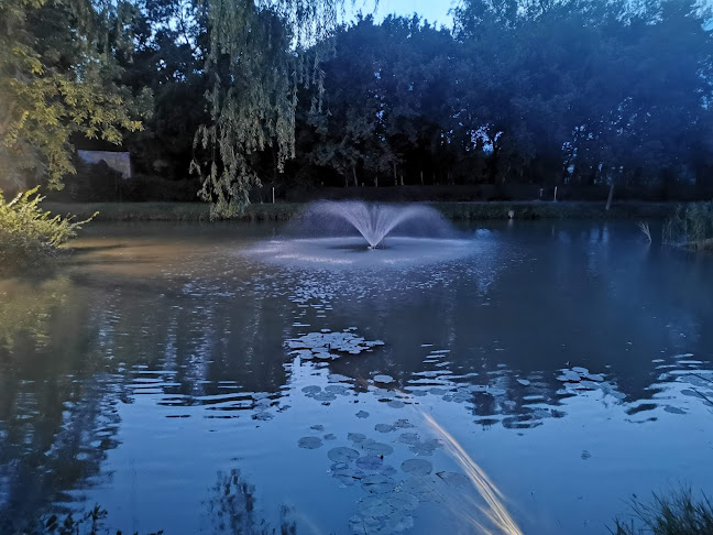 Comentarii opinii despre Boss Étterem