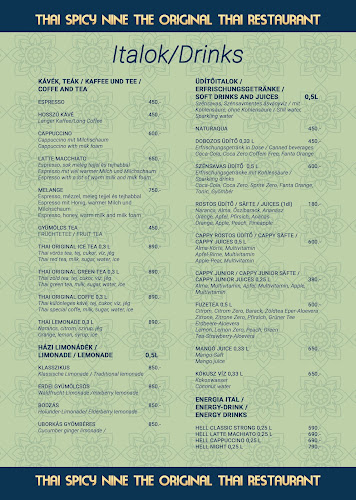 Comentarii opinii despre Thai Spicy Nine