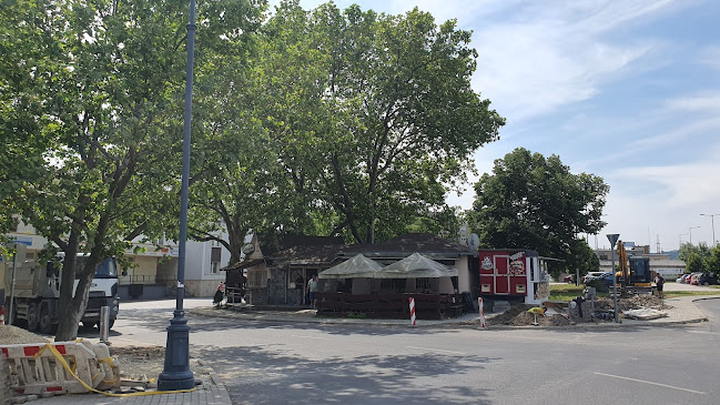 Comentarii opinii despre Nelson söröző