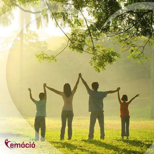 Comentarii opinii despre Emóció 7.84