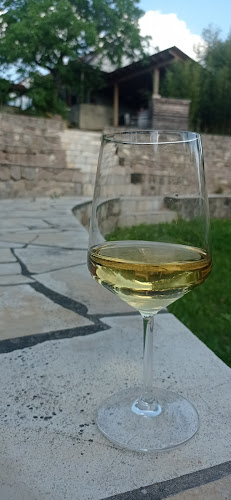 Comentarii opinii despre Csendülő étterem