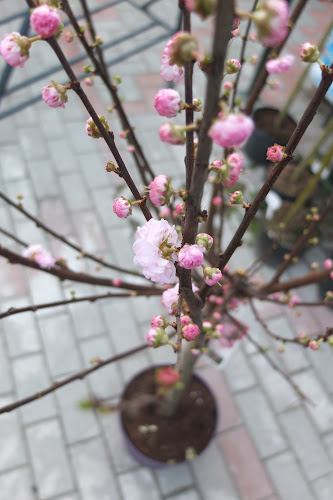 Comentarii opinii despre Keleti Porta