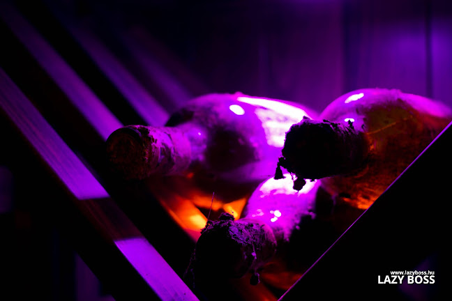 Szarvas, Szabadság út 14, 5540