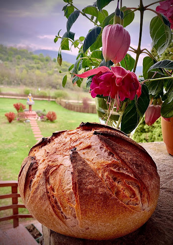 Comentarii opinii despre Álomvölgyi Buddha Pékség