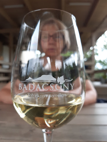 Comentarii opinii despre Csillag Borozó