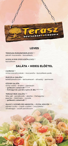 Opinii despre Terasz Étterem în Vonyarcvashegy - Vendéglátás