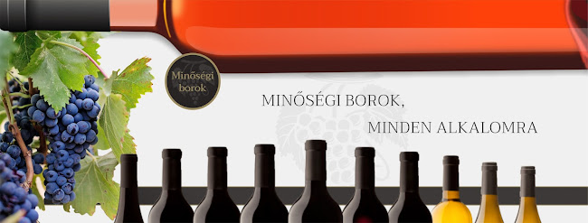 Bor-Ászok Cívis Kft