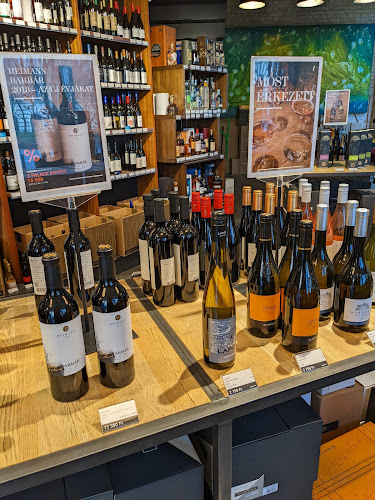 Comentarii opinii despre Bortársaság - Kossuth tér