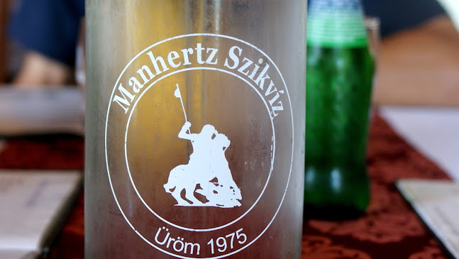 Comentarii opinii despre Hegyalja Kisvendéglő