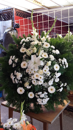 Comentarii opinii despre Szemlics Virág Kft