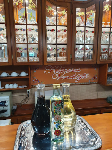 Comentarii opinii despre Kalocsai Vendéglő