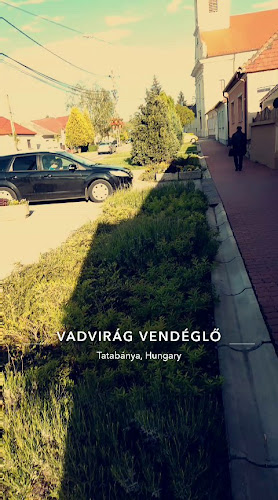 Opinii despre Vadvirág Vendéglő és Fogadó în Tatabánya - Vendéglátás