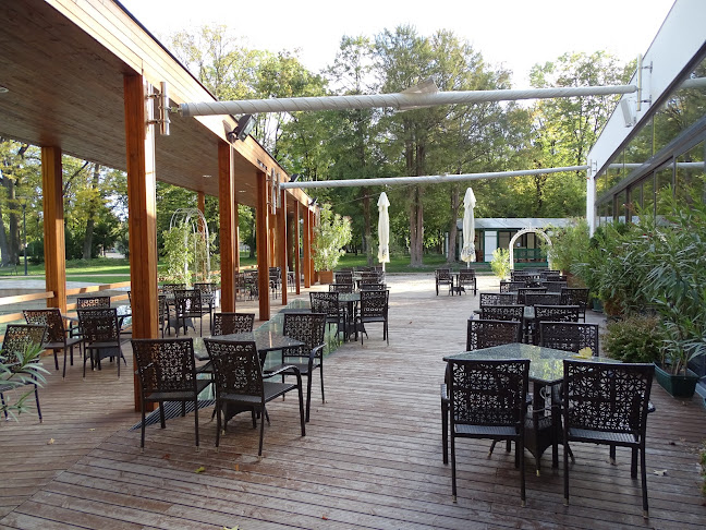 Opinii despre Platán în Kalocsa - Vendéglátás