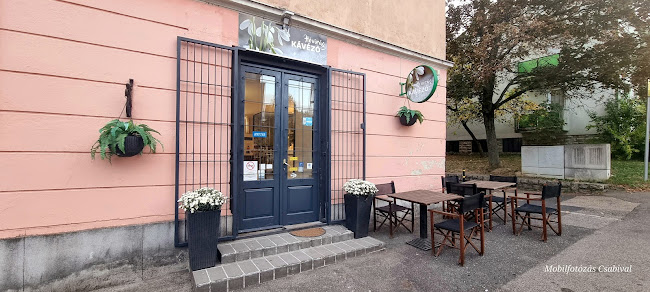 Csacska Macska Csecse-becse - Veszprém