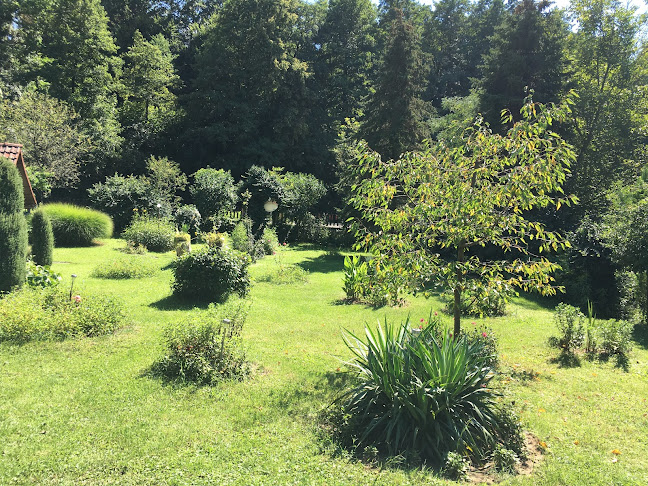 Opinii despre Forrás büfé în Mánfa - Vendéglátás