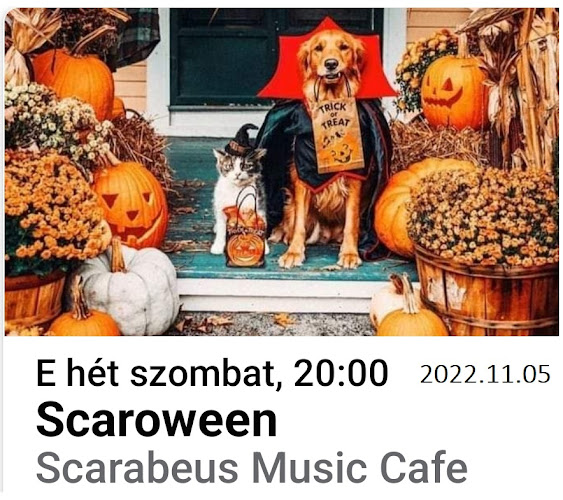 Scarabeus Music Café