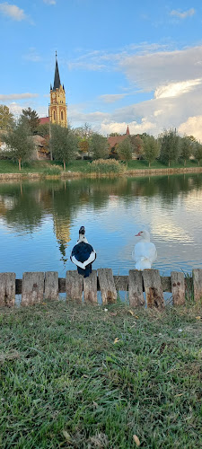 Kondoros Lángosos - Kondoros