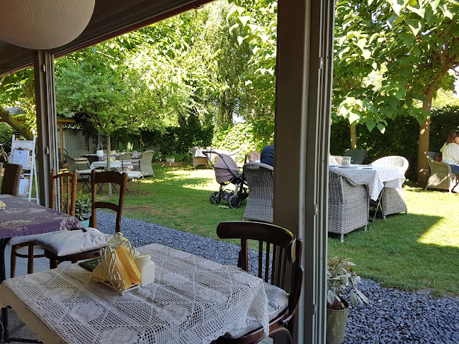 Comentarii opinii despre Vánkos Bed and Bistro