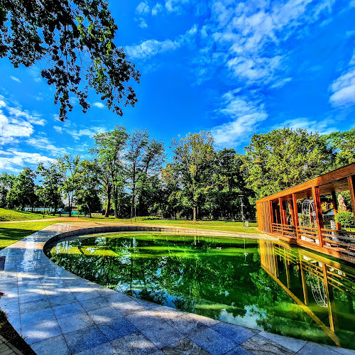 Opinii despre Platán în Kalocsa - Vendéglátás