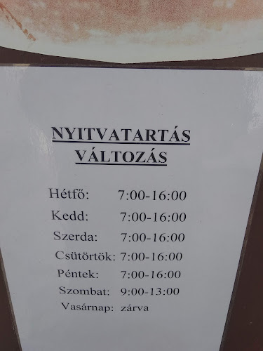 Pásztó, Semmelweis u. 1, 3060