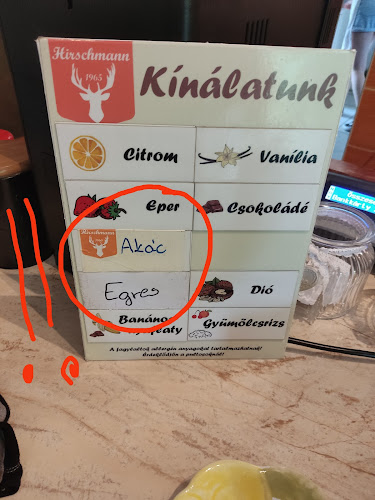 Comentarii opinii despre Hirschmann Fagyizó