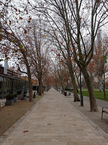 Borcsa Étterem - Vendéglátás