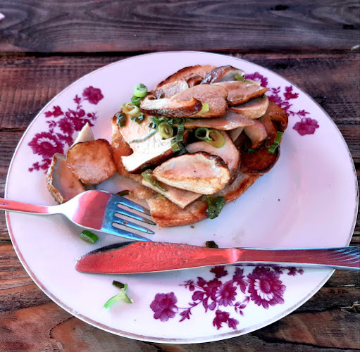 Falatozó Kert Söröző - Vendéglátás