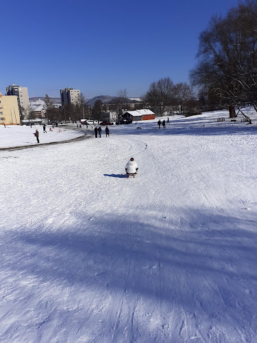 Comentarii opinii despre Vadvirág Söröző