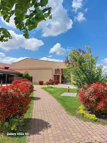 Comentarii opinii despre Jufa Restaraunt