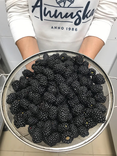 Annuska fagyizó és cukrászda - Vendéglátás