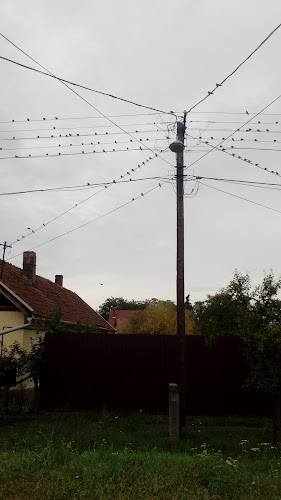 Opinii despre Újtelepi kocsma în Doboz - Vendéglátás