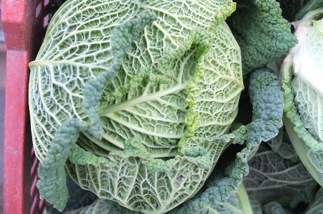 Keleti Porta - Vendéglátás