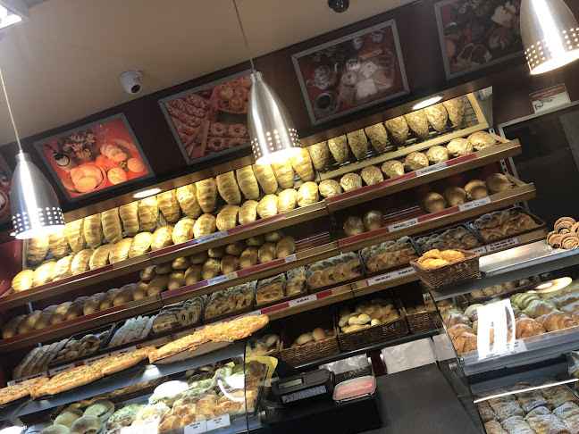 Gödöllő, Dózsa György út 6, 2100