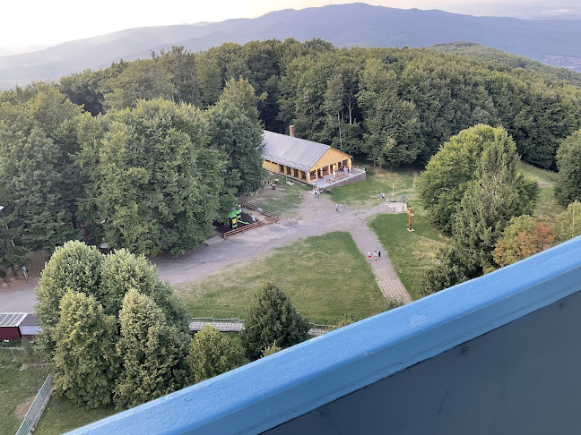 Comentarii opinii despre Tető Étterem