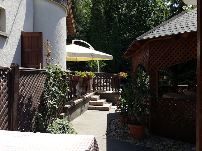 Comentarii opinii despre István Étterem és Panzió