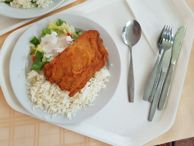 Opinii despre Vándorsólyom kFT în Hódmezővásárhely - Vendéglátás