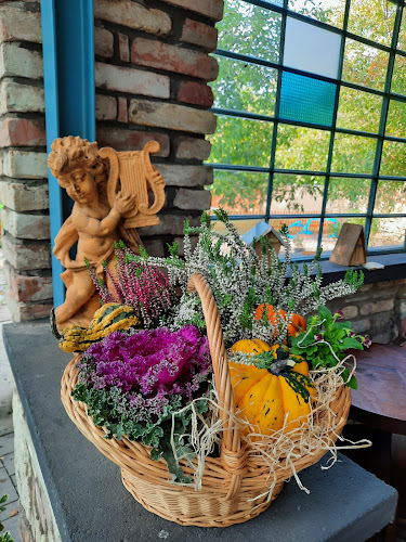 Kicsidió Rendezvénykert - Szolnok