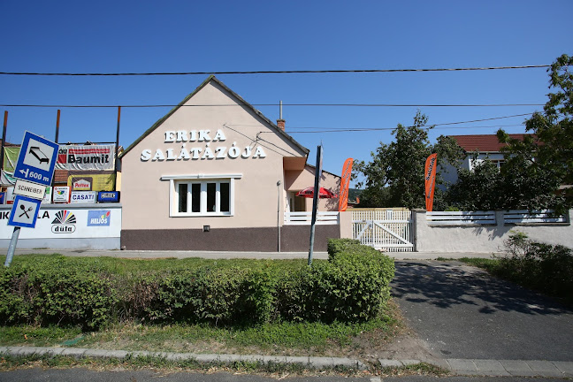 Opinii despre Erika salátázója în Budaörs - Vendéglátás