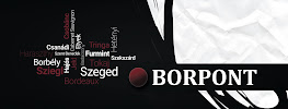 Opinii despre Borpont Borszaküzlet în Szeged - Vendéglátás