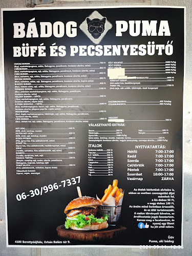 Opinii despre Bádog Puma Büfé és Pecsenyesütő în Berettyóújfalu - Vendéglátás