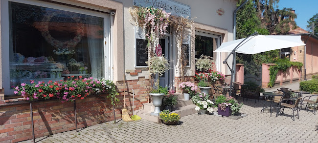 Judó Virágműhely és Virágos Kávézó - Vendéglátás