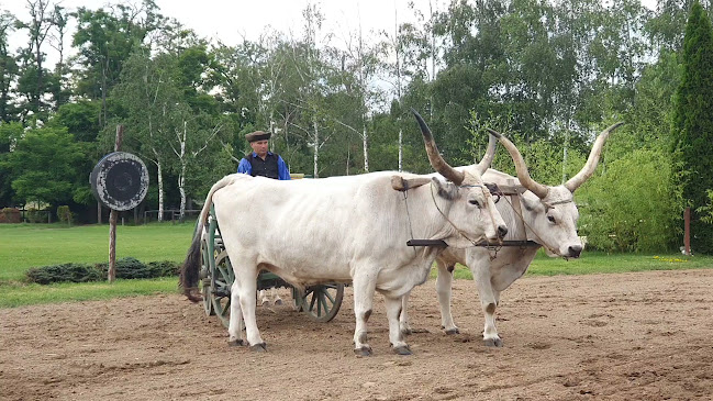 Opinii despre Lázár Lovaspark în Domony - Vendéglátás