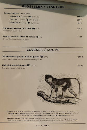 Comentarii opinii despre Kata PEST - Glutén- és Laktózmentes étterem