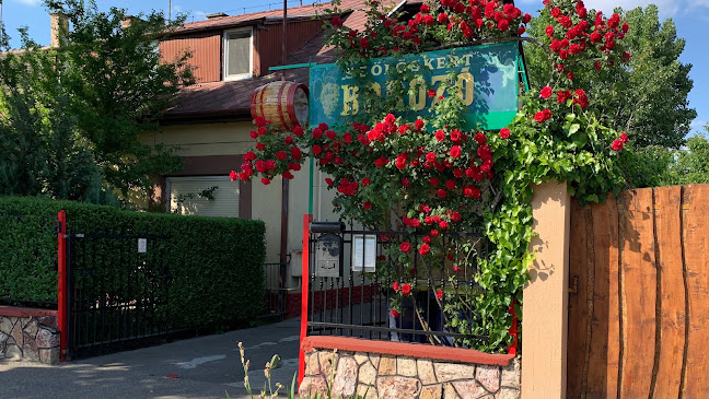 Szőlőskert borozó - Budapest