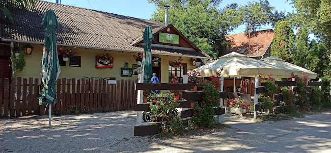 Szigetmonostor, Vadvirág u. 41, 2015