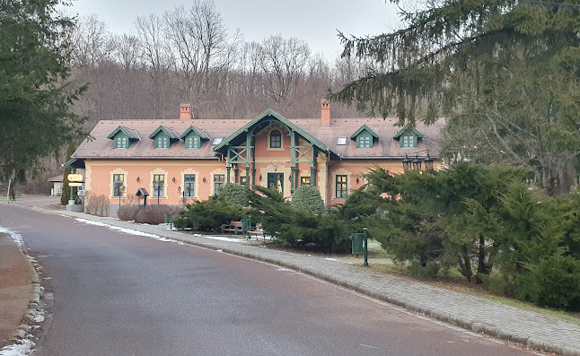 Comentarii opinii despre St. Hubertus Panzió & Étterem