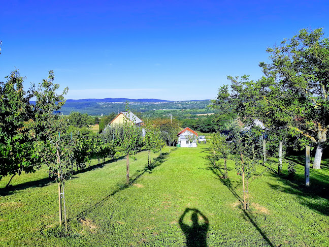 Kicsi Büfé - Vendéglátás