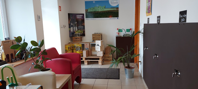 Opinii despre Pécsinger Borforrás în Győr - Vendéglátás